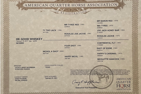 American quarter horses Association