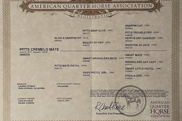 American quarter horses Association papers