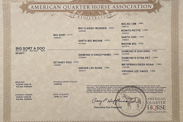 American quarter Association papers