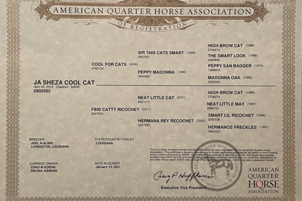 American quarter Association