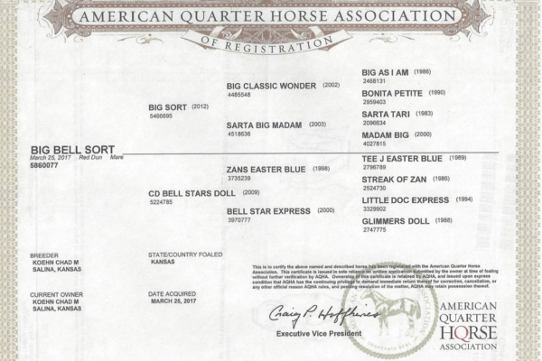 American quarter horses Association